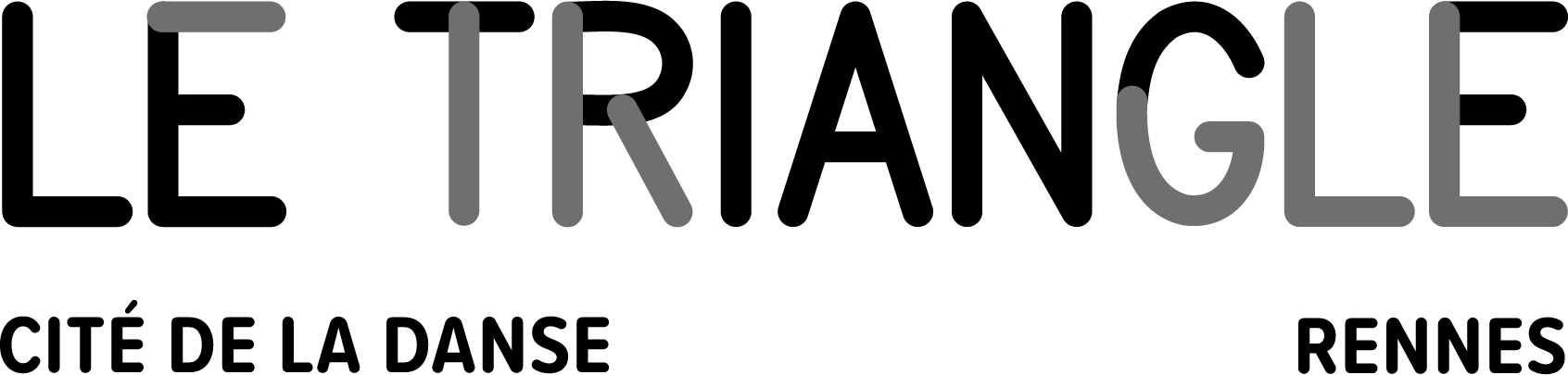  Le Triangle  Cité de la danse